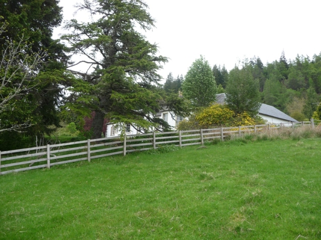 The grounds
