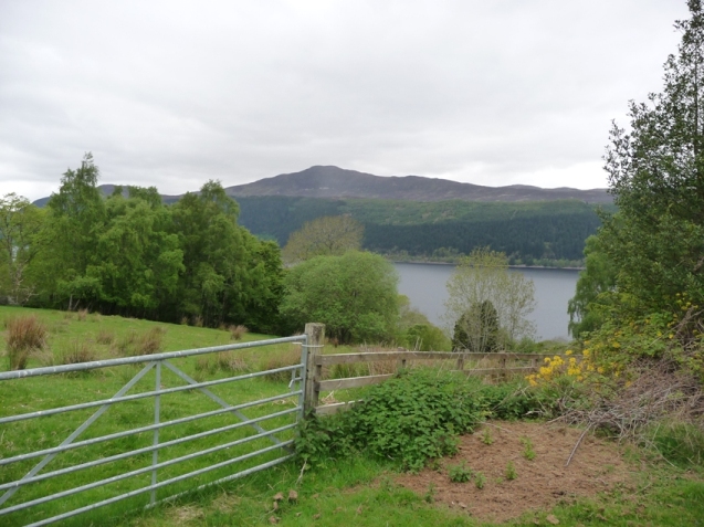 The grounds